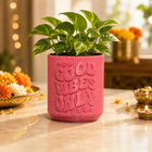 Rakhi Gift Combo for Sister | Planter, Organizer, Tufted Bag & Keychain