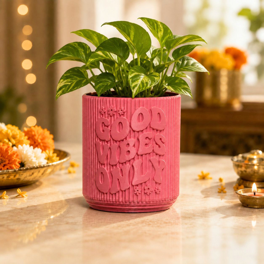 Rakhi Gift Combo for Sister | Planter, Organizer, Tufted Bag & Keychain