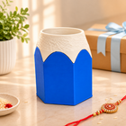 Brother's Rakhi Gift Combo | Muscle Planter, Pencil Pen Holder & Keychain 💙🎁